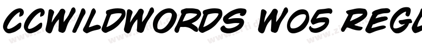 CCWildWords W05 Regu字体转换